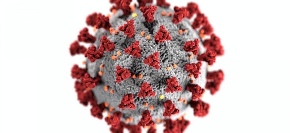 Foto coronavirus av CDC från Pexels