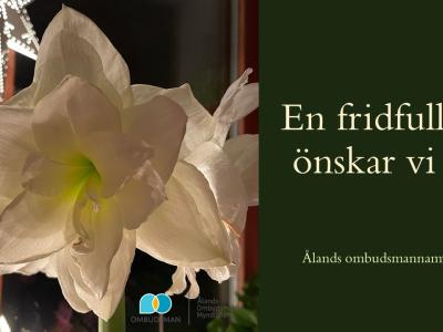 vit amaryllis och julhälsning